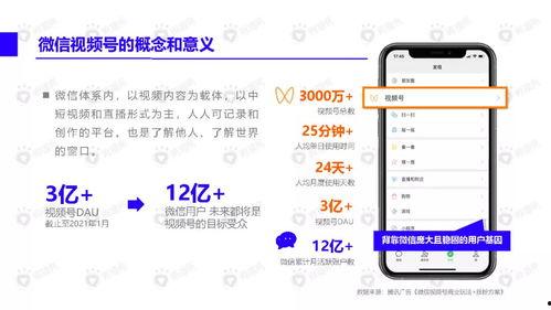 沙雕爆料小故事视频下载,揭秘热门视频背后的趣味故事
