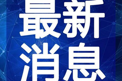 沈阳大姨爆料视频最新,揭秘城市生活背后不为人知的真相