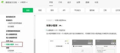 最新全面爆料小程序下载,下载体验与功能解析