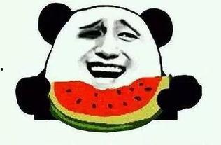 娱乐吃瓜群众1,揭秘娱乐圈背后的那些事儿